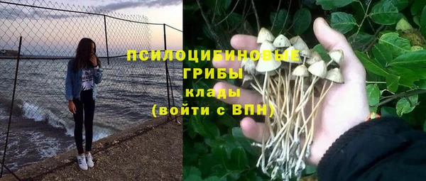 ешки Верея